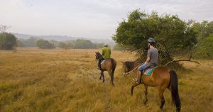 Lake Mburo National Park