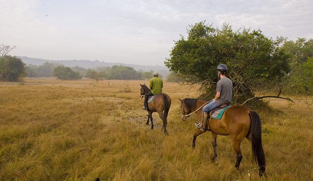 Lake Mburo National Park